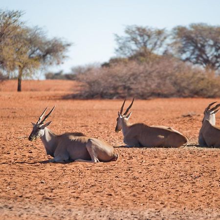 Kalahari Anib Campsite Hardap Exterior foto