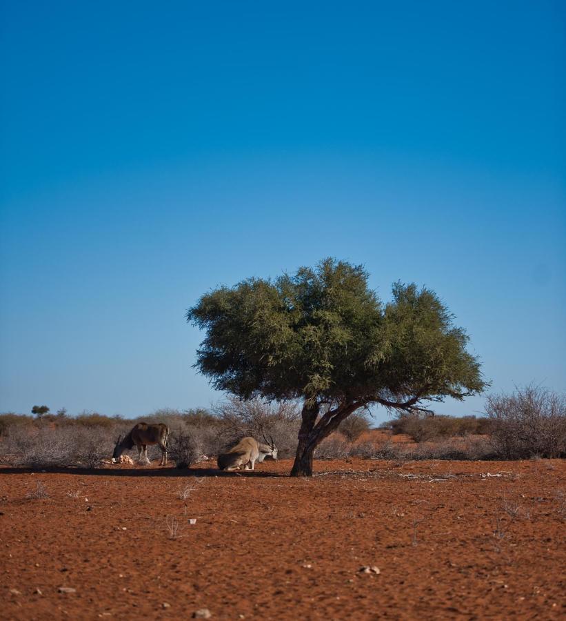 Kalahari Anib Campsite Hardap Exterior foto