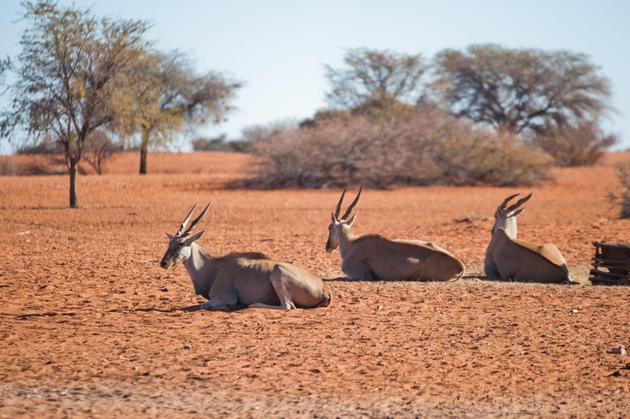 Kalahari Anib Campsite Hardap Exterior foto